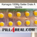 Kamagra 100Mg Gelée Orale À Vendre new11